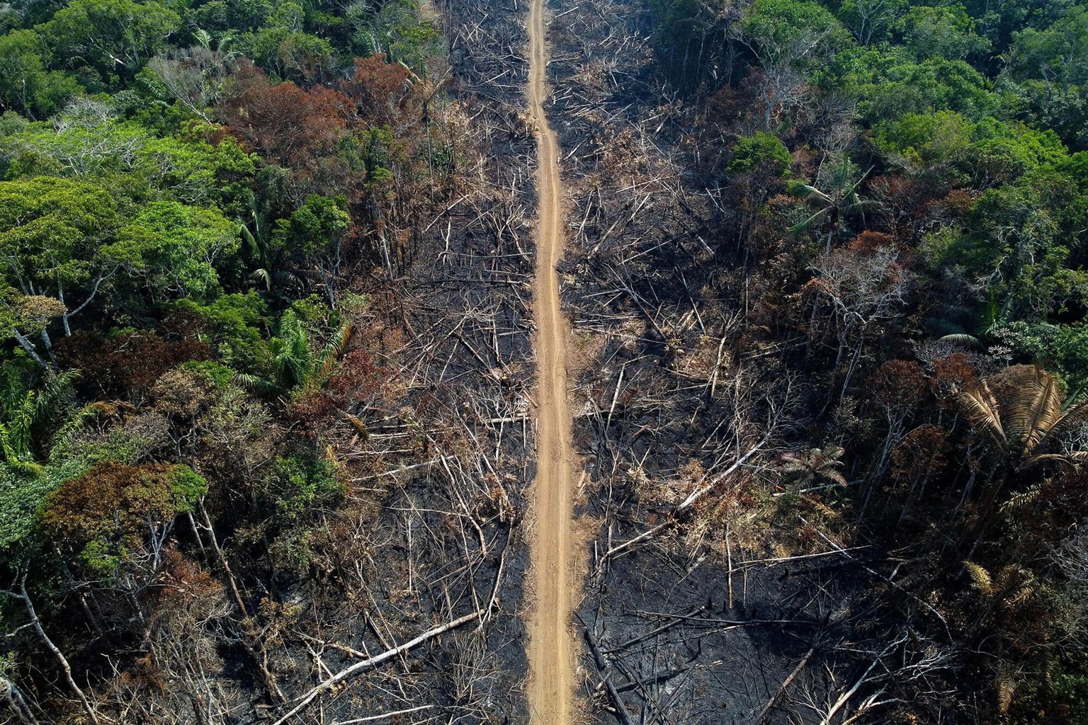 Deforestation in Amazon